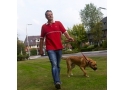 Wandelen